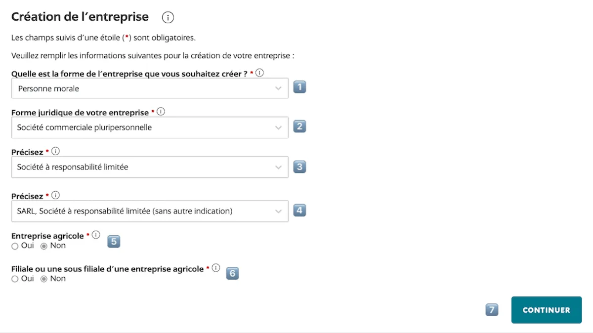Choisir "Personne morale", "Société commerciale pluripersonnelle ", " Société à responsabilité limitée", "SARL, Société à responsabilité limitée (sans autre indication)"