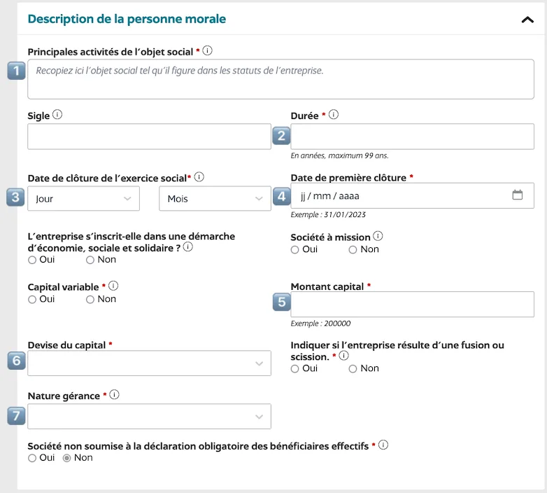 Remplissez toutes les informations d'identification de la Société en vous référant aux statuts