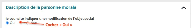 Cochez Oui "Je souhaite indiquer une modification de l’objet social"