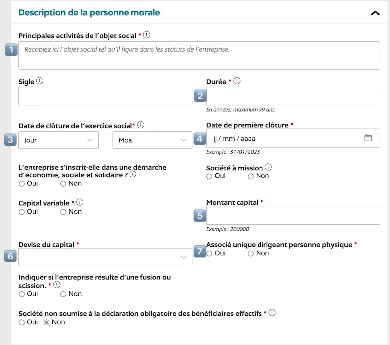Remplissez toutes les informations d'identification de la Société en vous référant aux statuts